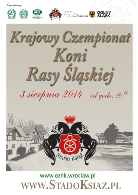 X_Krajowy_Czempionat_Mlodziezy_Koni_Rasy_Slaskiej