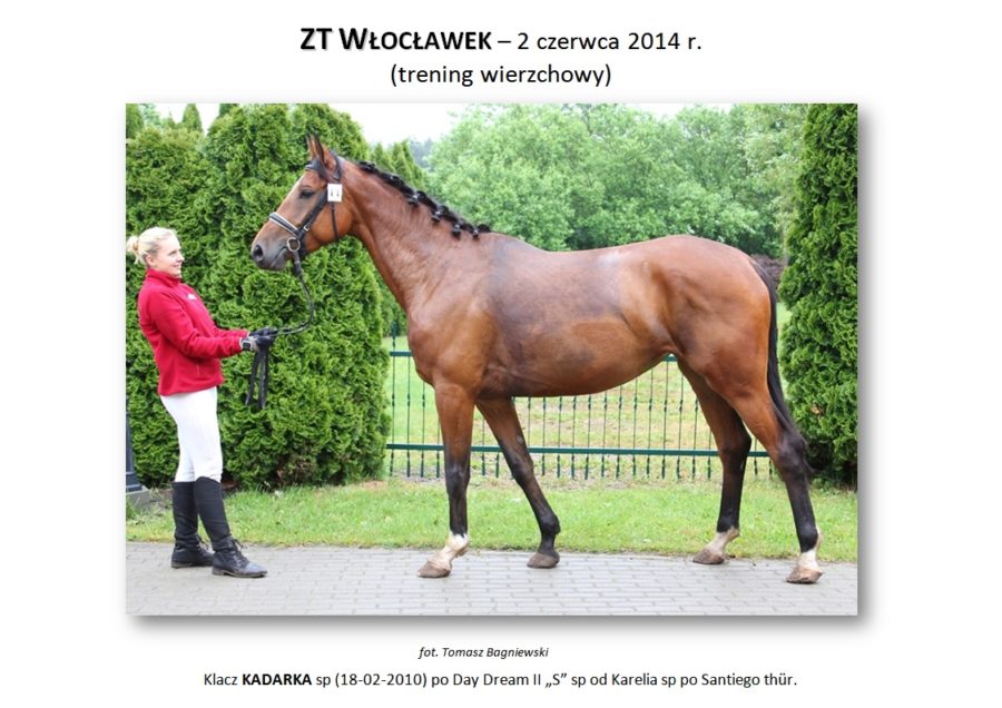 ZT WŁOCŁAWEK (trening wierzchowy) – 2 czerwca 2014 r.