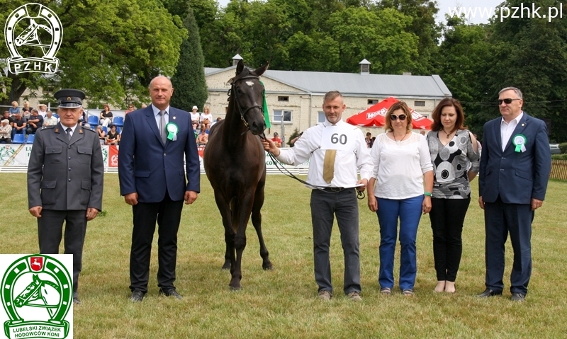 IV LOKATA - CZEMPIONAT HODOWLANY KLACZY MŁODSZYCH - kl. AMFETAMINA S (Davinci - Adrenalina / Jurand), hod. i wł. Aleksander Sokołowski, woj. lubelskie