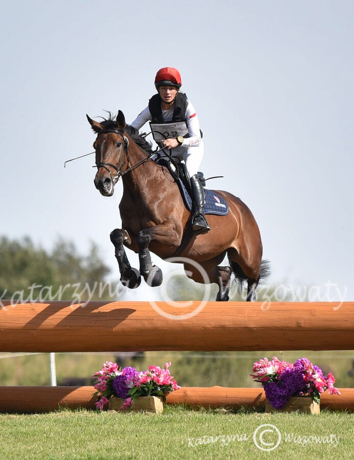 Andine wlkp (po Moravia) - Joanna Pawlak