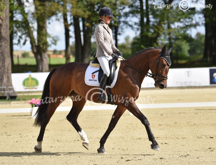 Andine wlkp (po Moravia) - Joanna Pawlak
