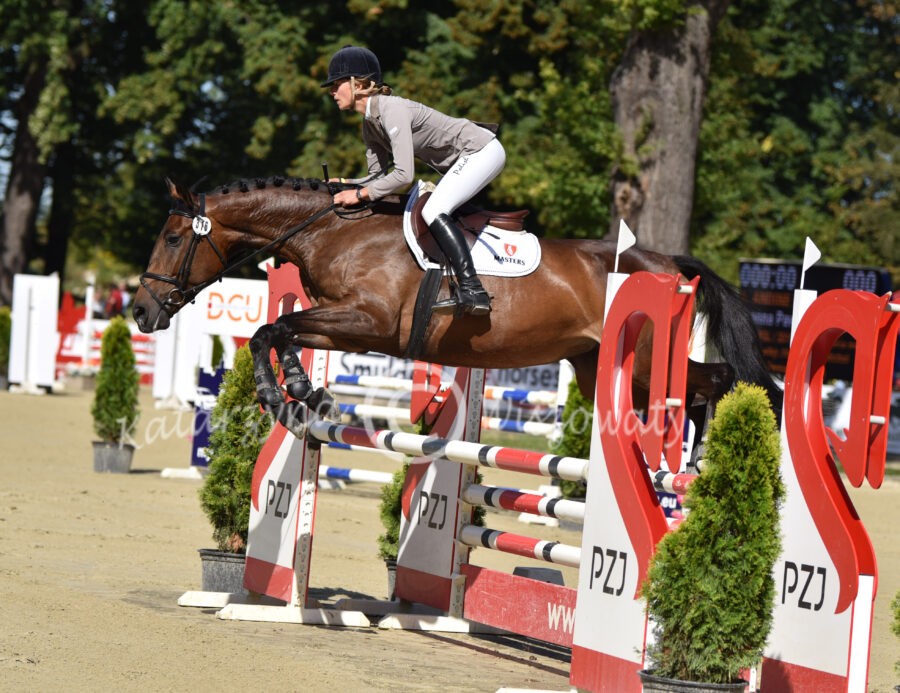 Andine wlkp (po Moravia) - Joanna Pawlak