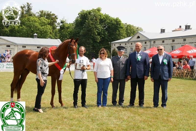 III LOKATA - CZEMPIONAT HODOWLANY OGIERÓW - og. ATAK (Hindus - Aruba / Banita), hod. G.Świerk, wł. Wiesław Koch, woj. małopolskie