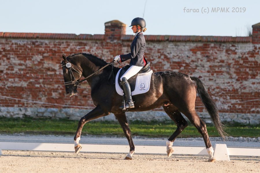 BIAŁY KRUK sp - Karolina Mazurek