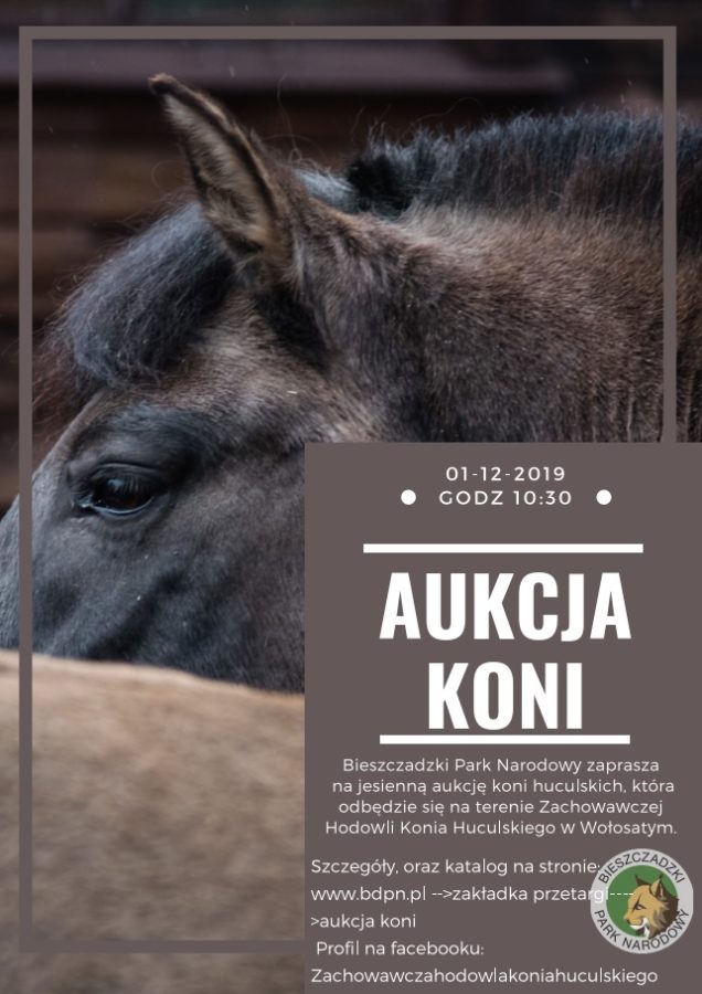 PLAKAT - Bieszczadzki Park Narodowy - aukcja koni 2019