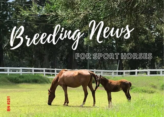 Dostęp do Breeding News for Sport Horses dla członków PZHK