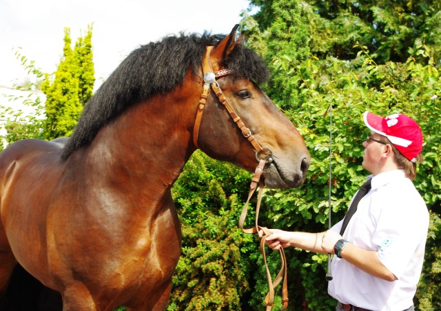 International Ardennes Horse Show