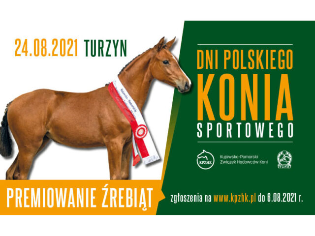Premiowanie Źrebiąt Ras Szlachetnych – Dni Polskiego Konia Sportowego