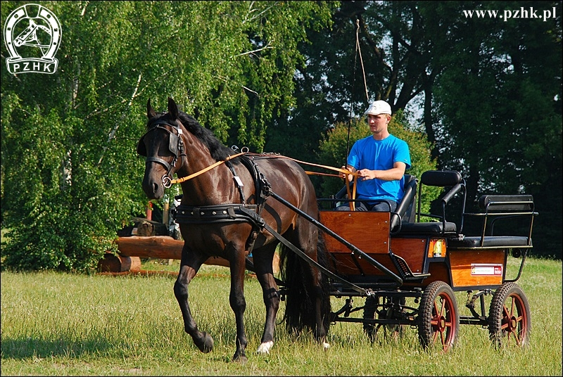 Kl. LUIZA śl.