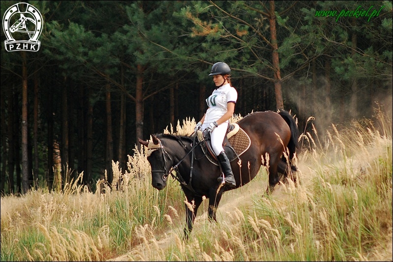 Kl. PERŁA