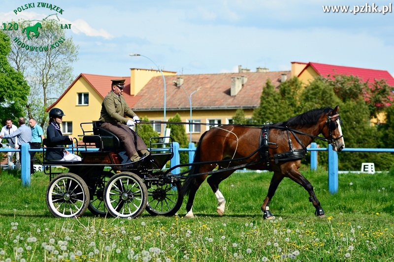 BRENTINA śl.