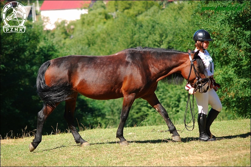 Wał. BERKUT