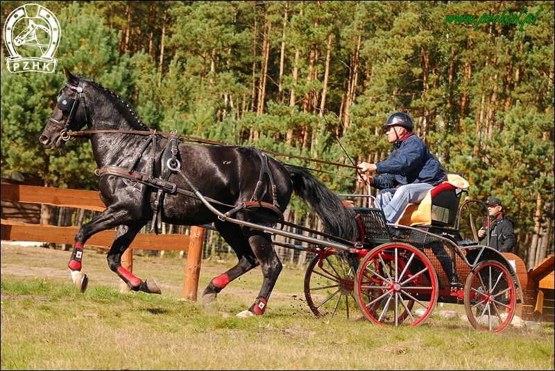 Wał. DON VENTO sp