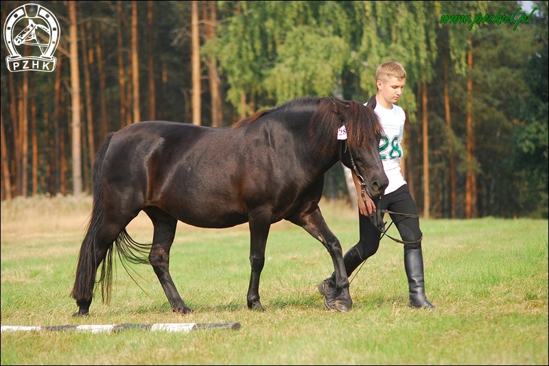 Kl. KALINA-JULKA