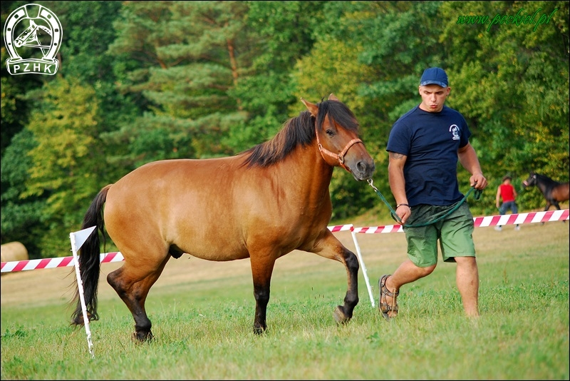 Wał. PARKAN