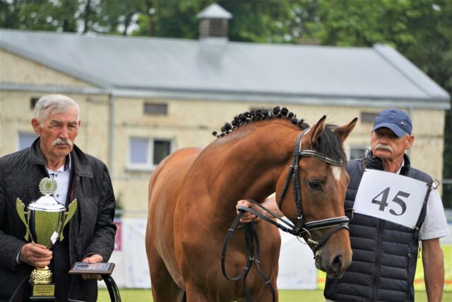 XXIV Narodowy Młodzieżowy Czempionat Koni Rasy Małopolskiej – wyniki