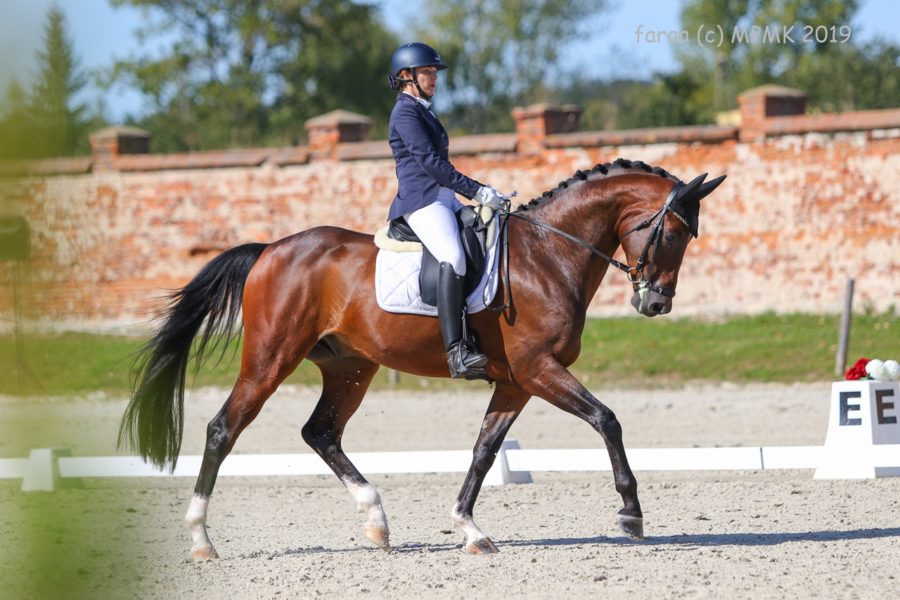 GALLARDO wlkp - Ewa Szwed