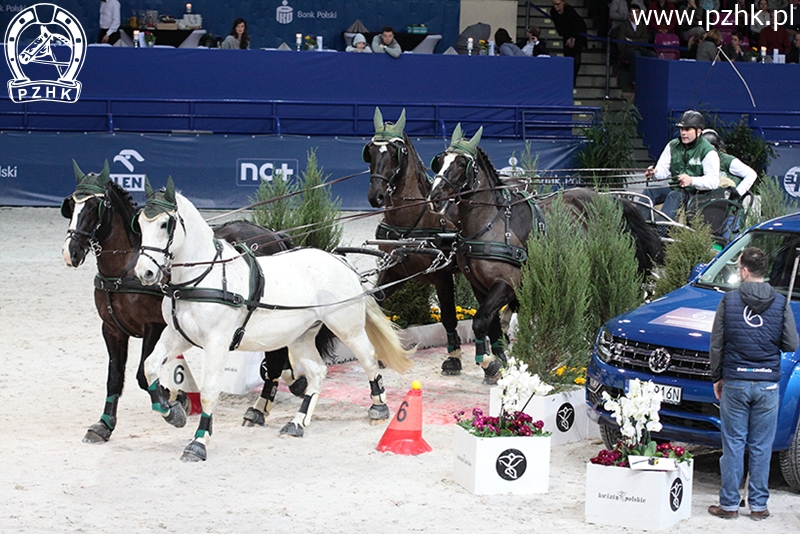 IMG_8110_8109_Jarosław Rolbiecki_GALANT-PEGAZ-RAMIREZ-REKORD