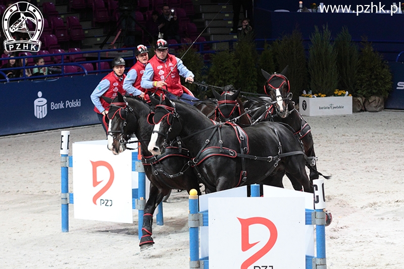 IMG_8131_Bartłomiej Kwiatek_BAZYLI-DRAB-IMBRED-RODOS