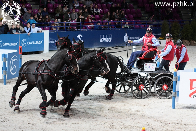 IMG_8133_Bartłomiej Kwiatek_BAZYLI-DRAB-IMBRED-RODOS