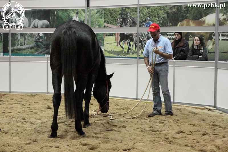 Naturalnie na Cavaliadzie