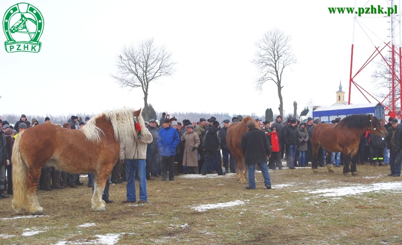 BASET, STOCZNIOWIEC, HAJDAR