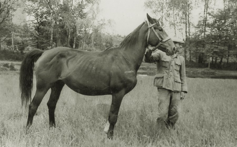 kl. Strzała-Astra (Schagya), ur. 1954