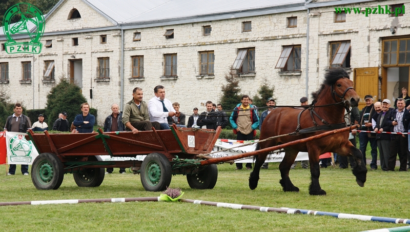 Konkurs zręczności powożenia