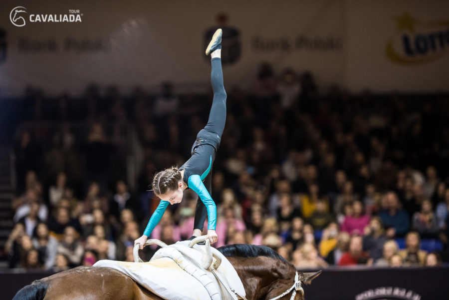 Cavaliada: Lublin - pokazy