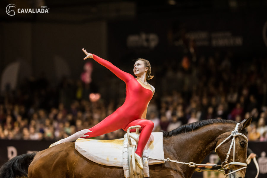 Cavaliada: Lublin - pokazy