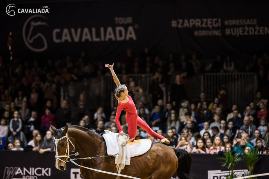 Cavaliada: Lublin - pokazy