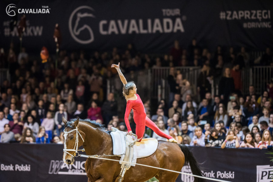 Cavaliada: Lublin - pokazy