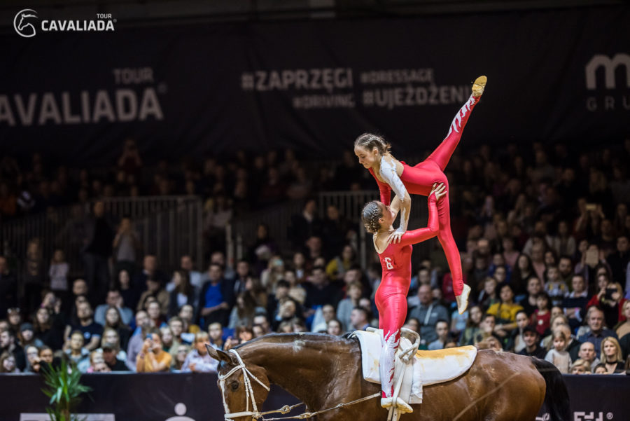 Cavaliada: Lublin - pokazy