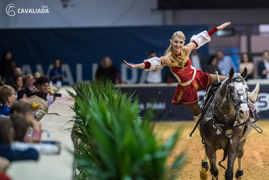 Cavaliada: Lublin - pokazy