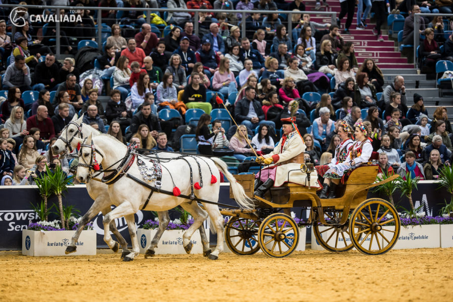 Cavaliada: Kraków - pokazy