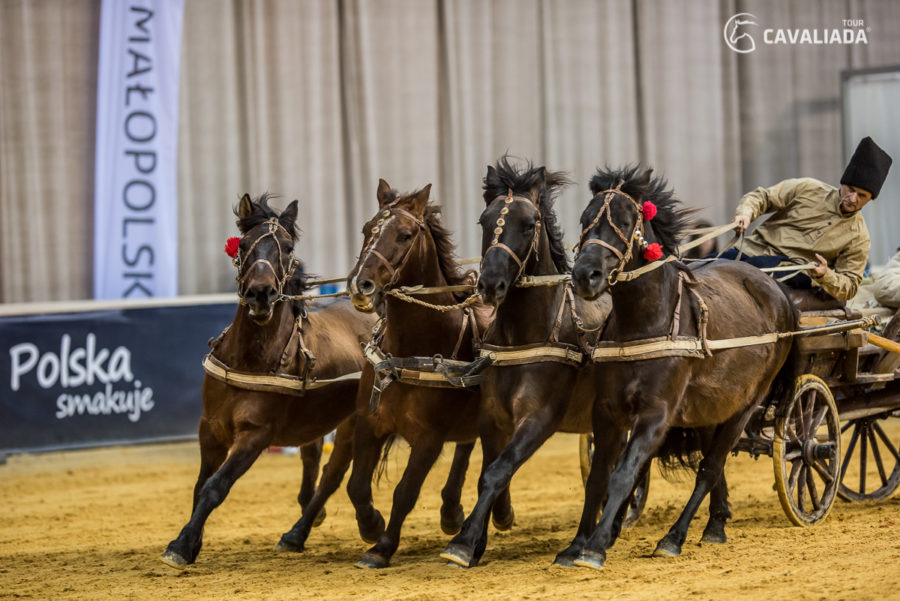 Cavaliada: Kraków - pokazy