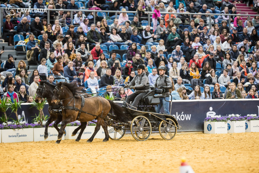 Cavaliada: Kraków - pokazy