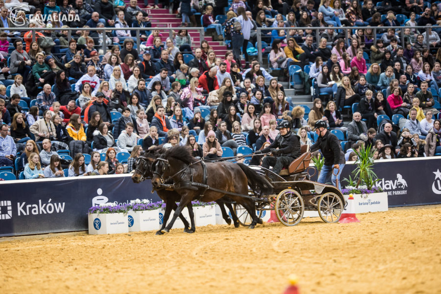 Cavaliada: Kraków - pokazy