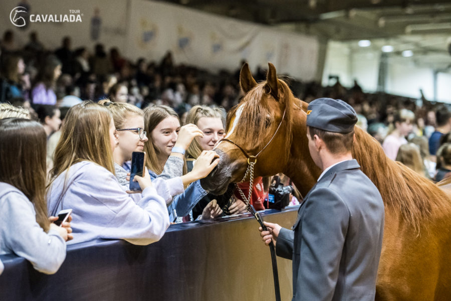 Cavaliada: Lublin - pokazy