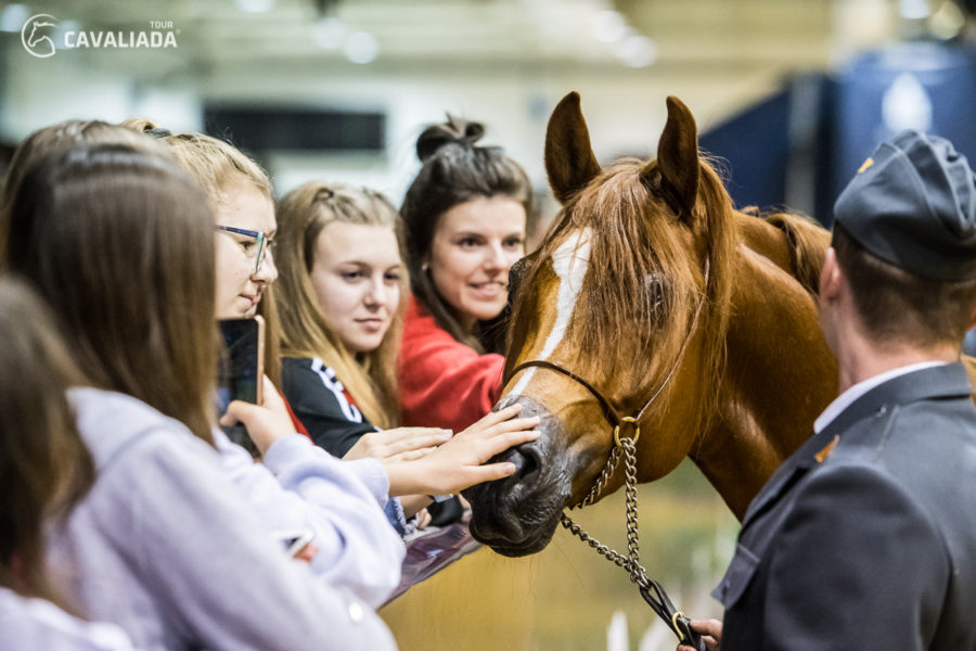 Cavaliada: Lublin - pokazy