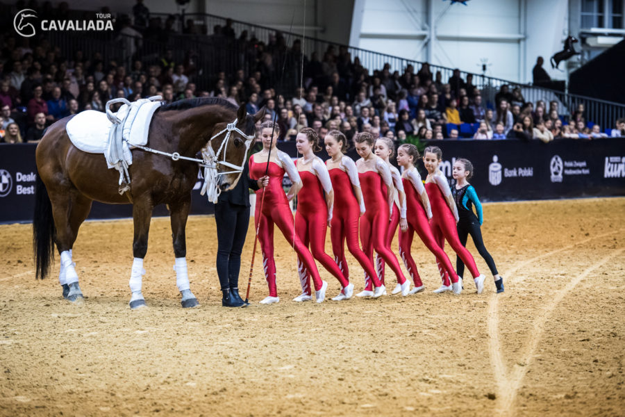 Cavaliada: Lublin - pokazy
