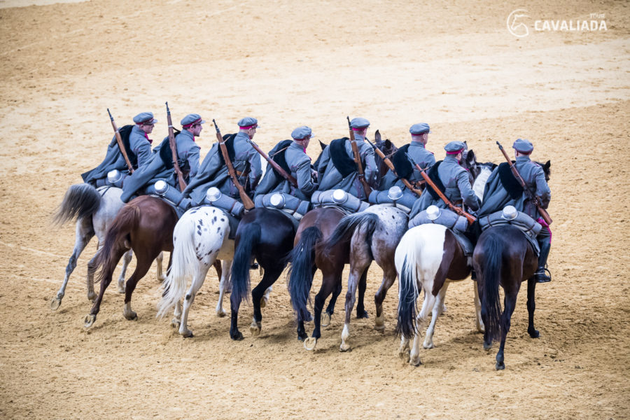 Cavaliada: Kraków - pokazy