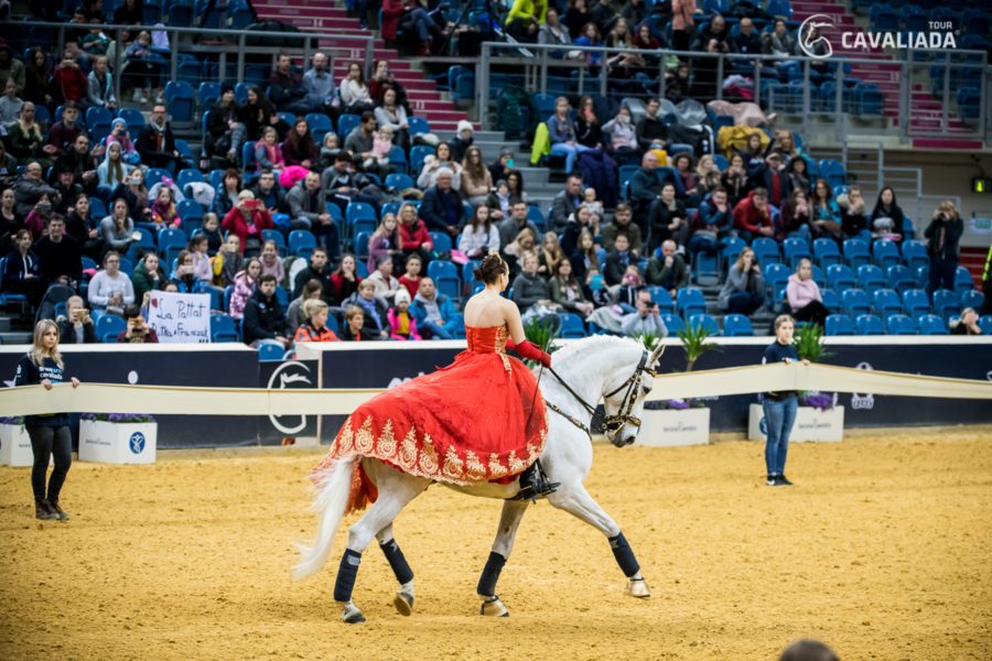 Cavaliada: Kraków - pokazy