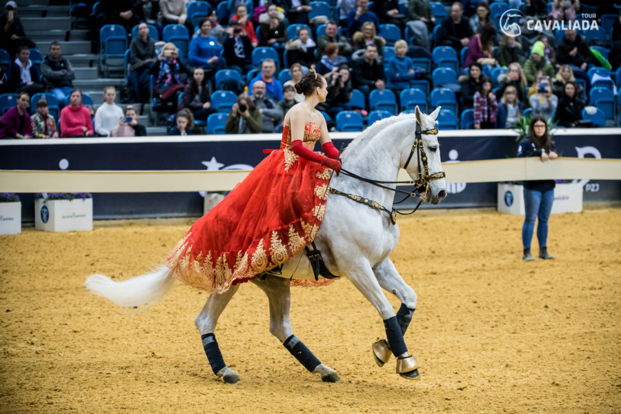 Cavaliada: Kraków - pokazy