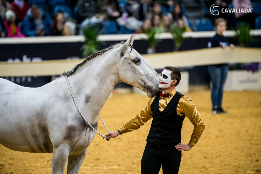 Cavaliada: Kraków - pokazy