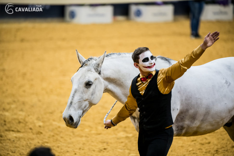 Cavaliada: Kraków - pokazy