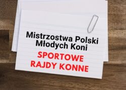 Regulamin MPMK 2023 – rajdy