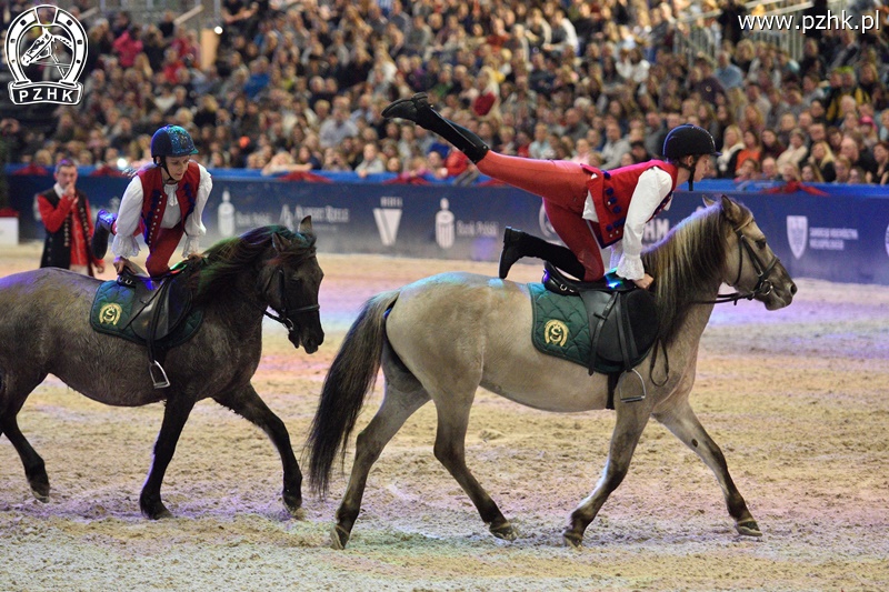 CAVALIADA Poznań 2017 - 02.12.2017 piątek