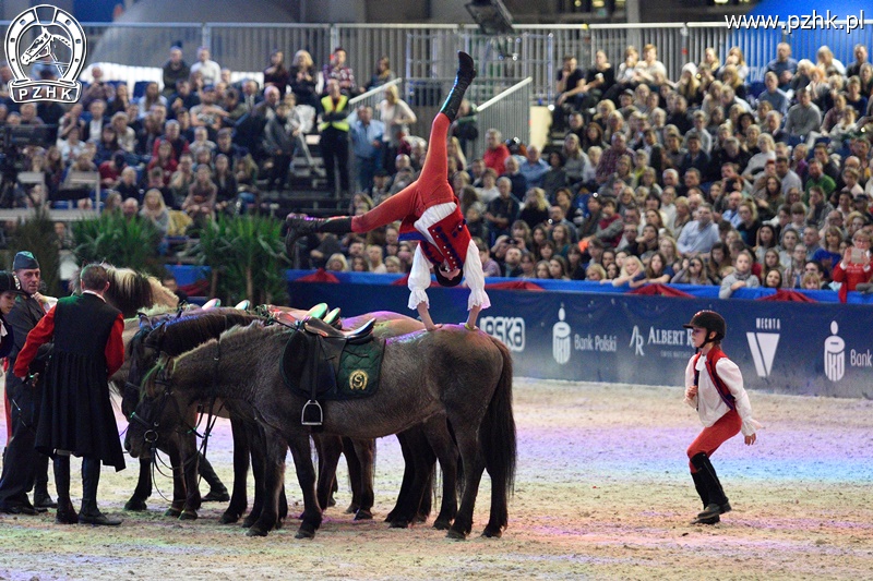 mz_CAVALIADA_Poznan_2017_5579