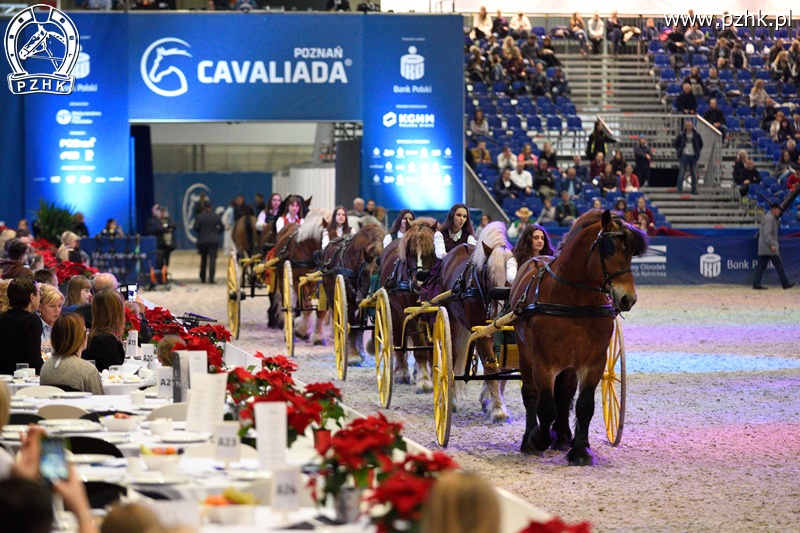 mz_CAVALIADA_Poznan_2017_5645